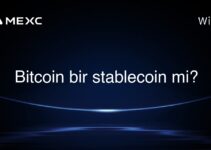 Bitcoin bir stablecoin mi?