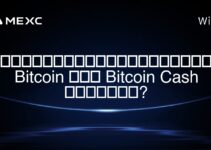 มีความแตกต่างระหว่าง Bitcoin และ Bitcoin Cash หรือไม่?