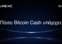 Πόσο Bitcoin Cash υπάρχει;