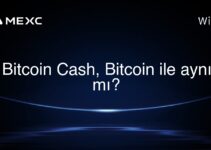 Bitcoin Cash, Bitcoin ile aynı mı?