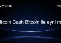 Bitcoin Cash Bitcoin ilə eyni mi?