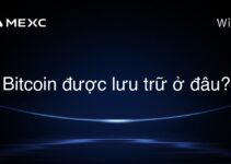Bitcoin được lưu trữ ở đâu?