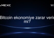 Bitcoin ekonomiye zarar verir mi?