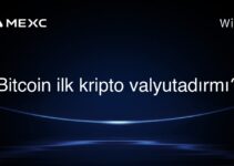 Bitcoin ilk kripto valyutadırmı?