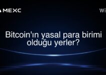 Bitcoin’ın yasal para birimi olduğu yerler?