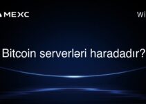 Bitcoin serverləri haradadır?