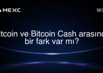 Bitcoin ve Bitcoin Cash arasında bir fark var mı?