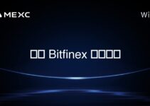 Bitfinexの創設者は誰ですか？