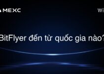 BitFlyer đến từ quốc gia nào?