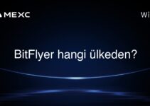 BitFlyer hangi ülkeden?