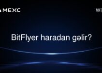 BitFlyer haradan gəlir?