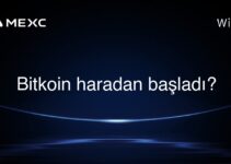 Bitkoin haradan başladı?