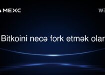 Bitkoini necə fork etmək olar