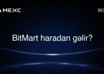 BitMart haradan gəlir?