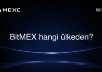 BitMEX hangi ülkeden?