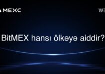 BitMEX hansı ölkəyə aiddir?