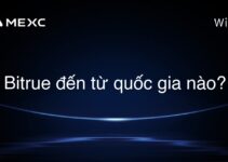 Bitrue đến từ quốc gia nào?