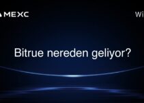 Bitrue nereden geliyor?