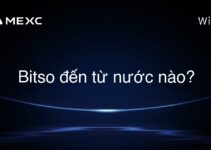 Bitso đến từ nước nào?