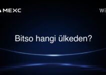 Bitso hangi ülkeden?