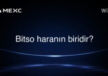 Bitso haranın biridir?
