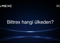 Bittrex hangi ülkeden?