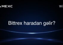 Bittrex haradan gəlir?