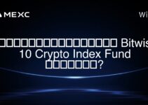 ความรู้สึกของหุ้น Bitwise 10 Crypto Index Fund คืออะไร?