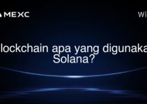 Blockchain apa yang digunakan Solana?