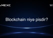 Blockchain niyə pisdir?
