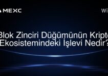Blok Zinciri Düğümünün Kripto Ekosistemindeki İşlevi Nedir?