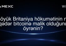 Böyük Britaniya hökumətinin nə qədər bitcoinə malik olduğunu öyrənin?