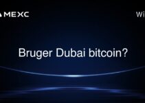Bruger Dubai bitcoin?