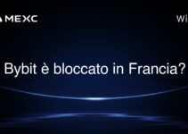 Bybit è bloccato in Francia?