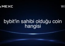 bybit’in sahibi olduğu coin hangisi