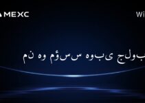 من هو مؤسس هوبى جلوبال؟