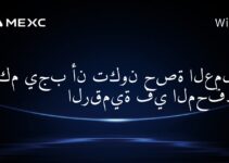 كم يجب أن تكون حصة العملات الرقمية في المحفظة؟