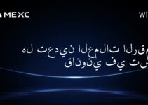 هل تعدين العملات الرقمية قانوني في تشاد؟