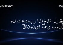 هل تعتبر العملة الرقمية قانونية في بولندا؟