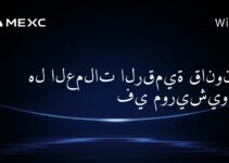 هل العملات الرقمية قانونية في موريشيوس؟