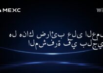 هل هناك ضرائب على العملات المشفرة في بلجيكا؟