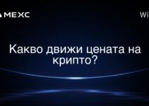Какво движи цената на крипто?