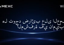 هل توجد ضرائب على العملات المشفرة في ناميبيا؟
