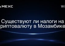 Существуют ли налоги на криптовалюту в Мозамбике?