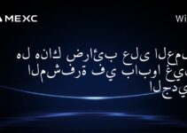 هل هناك ضرائب على العملات المشفرة في بابوا غينيا الجديدة؟