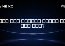 세인트 빈센트 그레나딘에서 암호화폐에 대한 세금이 있나요?