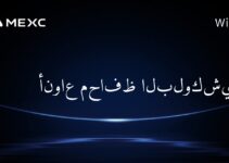 أنواع محافظ البلوكشين؟