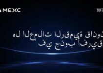 هل العملات الرقمية قانونية في جنوب أفريقيا؟