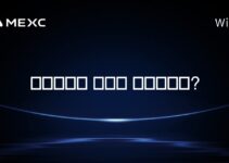 이더리움은 이더와 동일한가요?