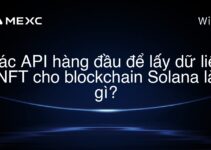 Các API hàng đầu để lấy dữ liệu NFT cho blockchain Solana là gì?